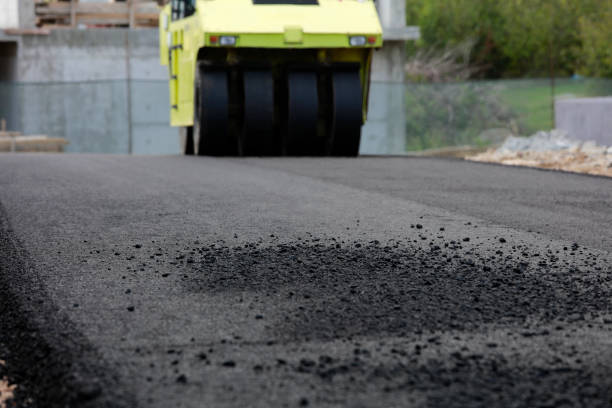 Best Driveway Repair Near Me  in La Plata, NM